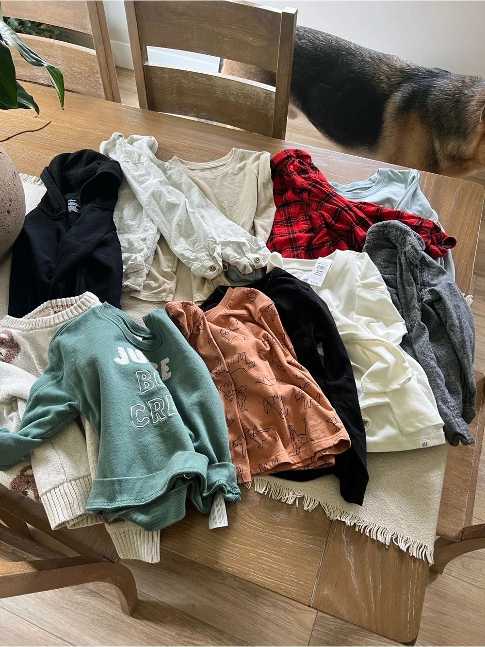 GAP entire lot